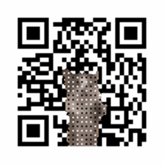 Basic Animated QR with Cat