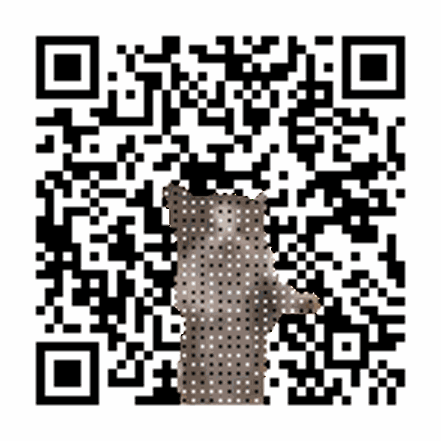 WiFi Animated QR with Cat